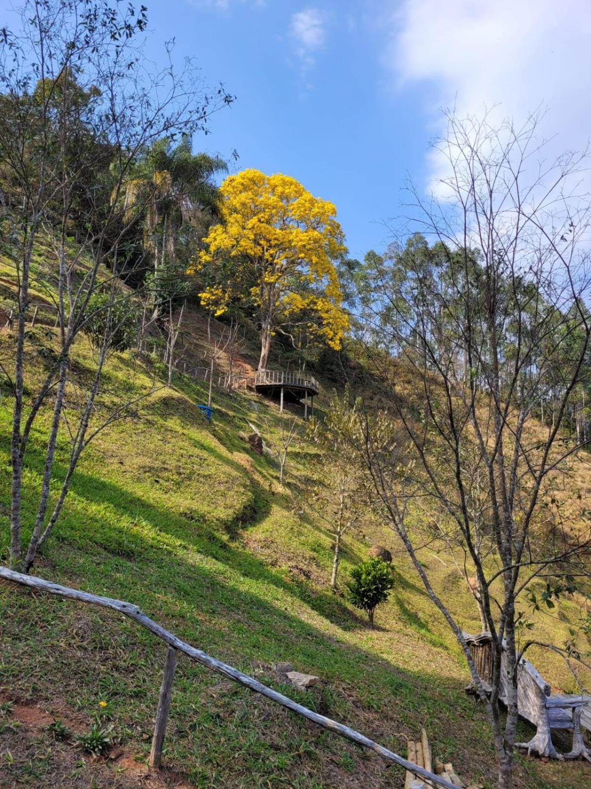 Pousada Recanto Do Ype Aiuruoca Exterior foto