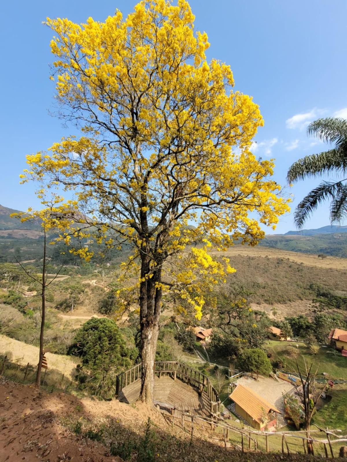 Pousada Recanto Do Ype Aiuruoca Exterior foto